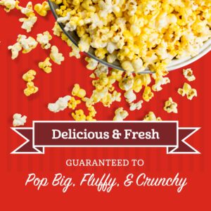 Franklin’s Gourmet Popcorn All-In-One Popcorn Packs for Popcorn Machine - 8oz Pack of 10 - Made in USA - Packs of Corn Kernels with Buttery Salt & Oil
